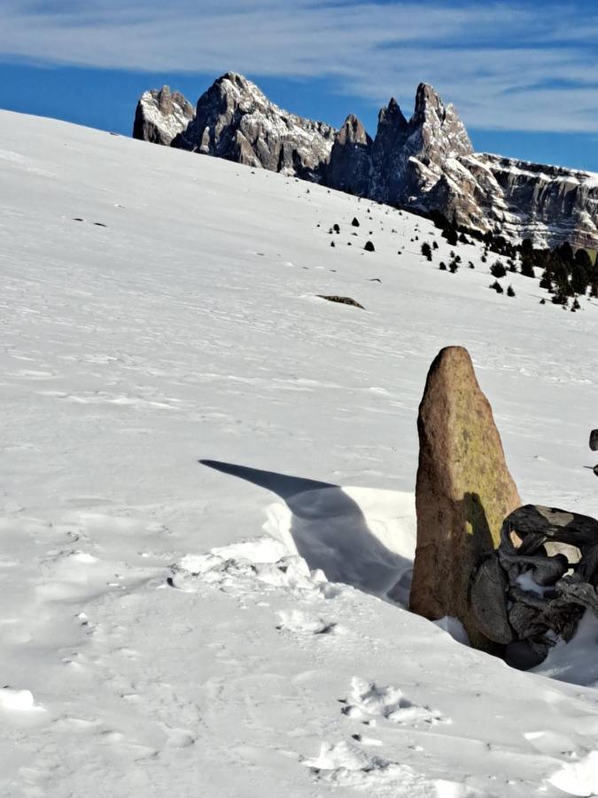 Residence Casa Metz Santa Cristina Val Gardena Екстериор снимка