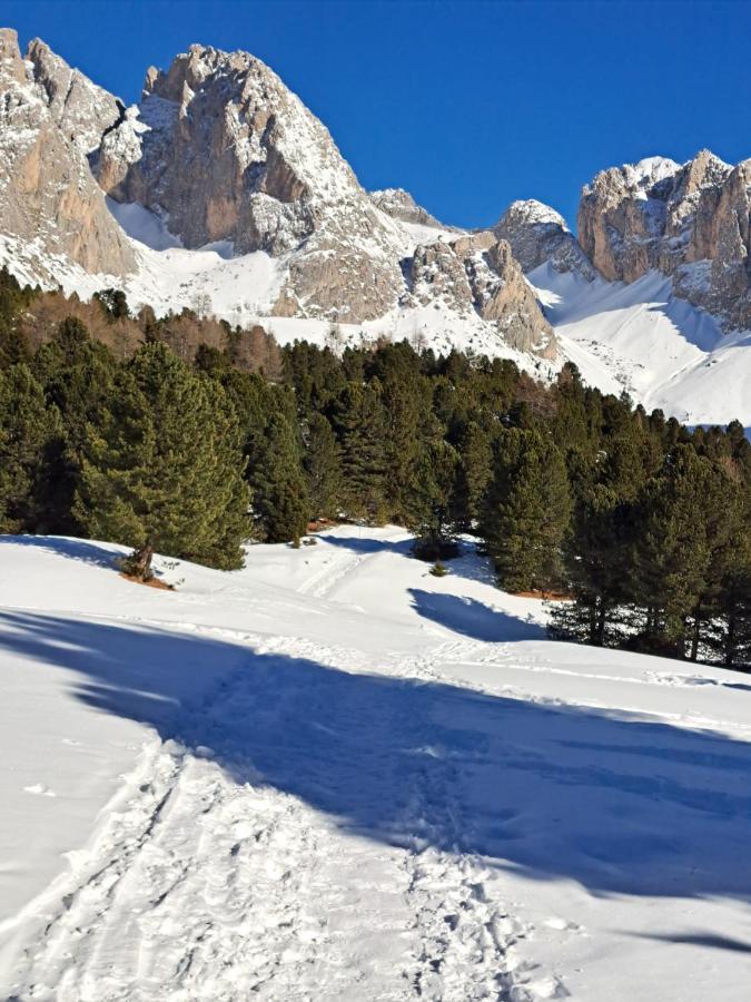 Residence Casa Metz Santa Cristina Val Gardena Екстериор снимка