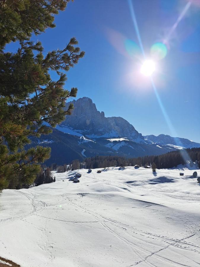 Residence Casa Metz Santa Cristina Val Gardena Екстериор снимка